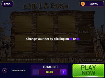 Lobola Cash