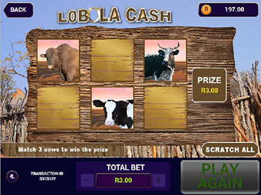 Lobola Cash